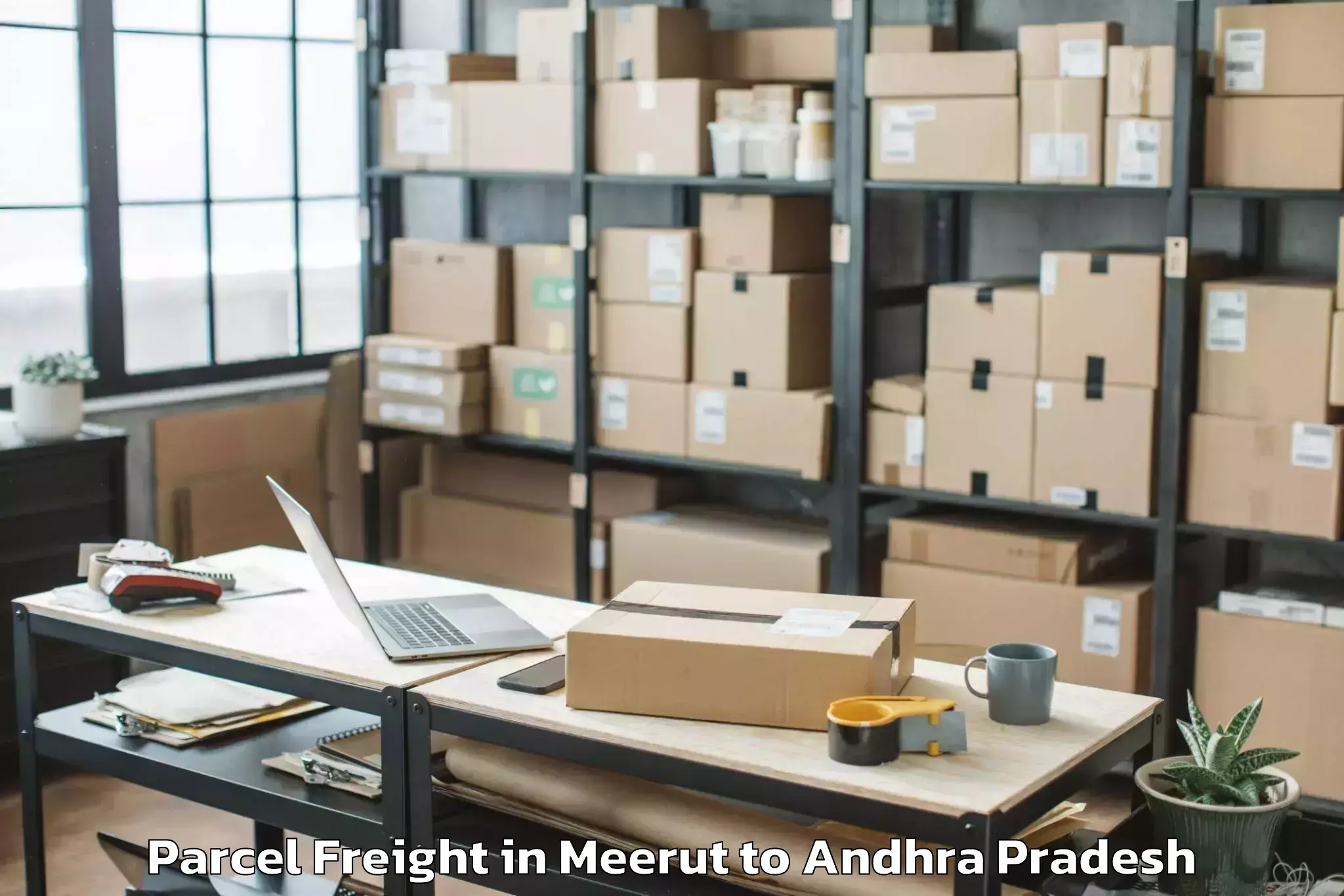 Leading Meerut to Pamarru Parcel Freight Provider